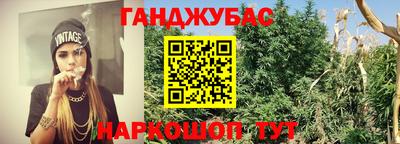 mix Сланцы