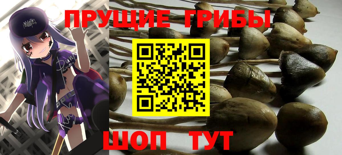 Галлюциногенные грибы Psilocybe  Галлюциногенные грибы MAGIC MUSHROOMS  Вход с VPN  Новочебоксарск 