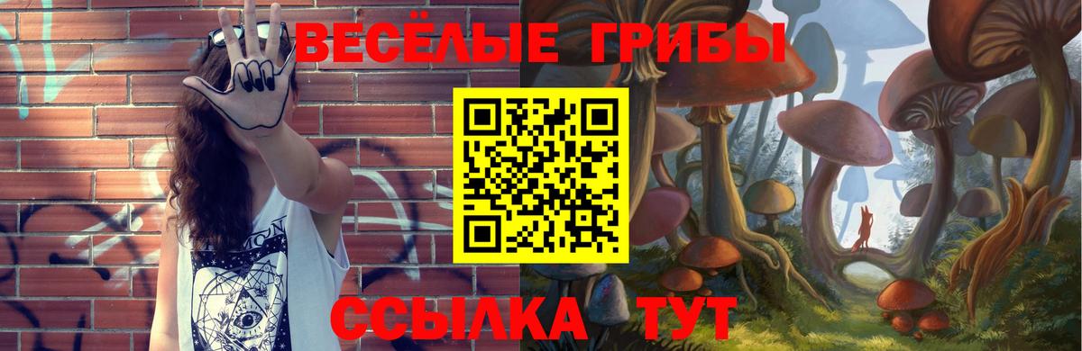 Псилоцибиновые грибы Magic Shrooms Новочебоксарск